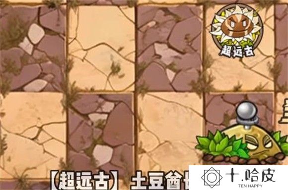 植物大战僵尸神奇植物版
