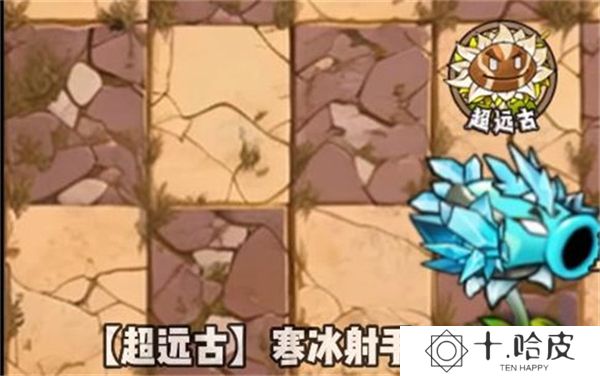 植物大战僵尸神奇植物
