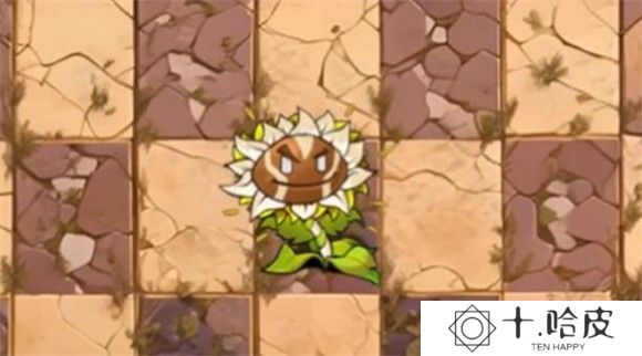 植物大战僵尸神奇植物版