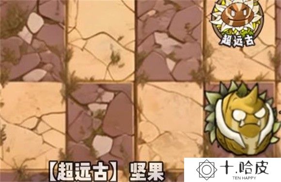 植物大战僵尸神奇植物版