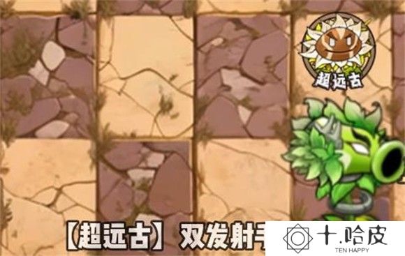 植物大战僵尸神奇植物版
