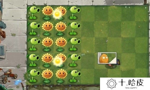 PVZ异域探险