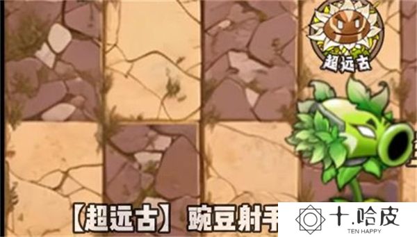植物大战僵尸神奇植物