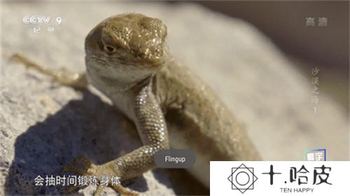 星火电视海外版2023