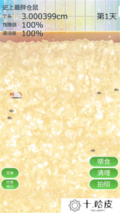 治愈仓鼠养成