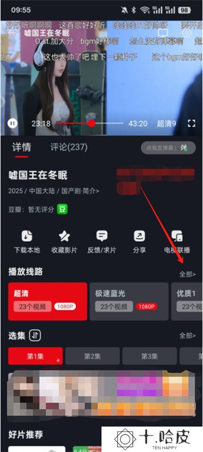网飞猫纯净版