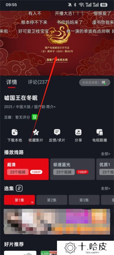 网飞猫纯净版