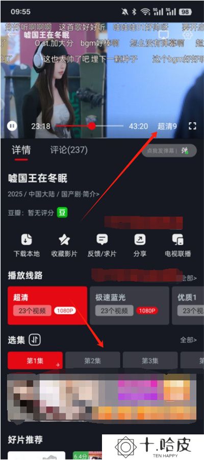 网飞猫纯净版