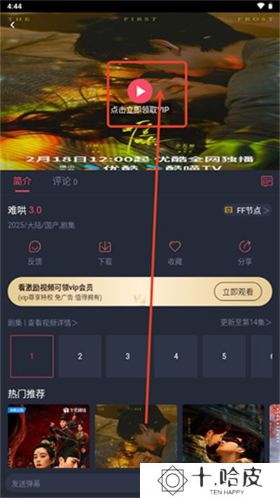 一只猫影视