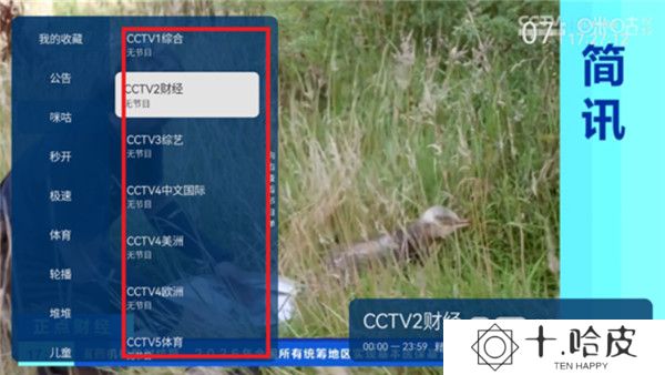 野火直播电视版