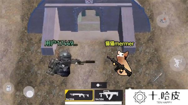 猫猫地铁逃生2025