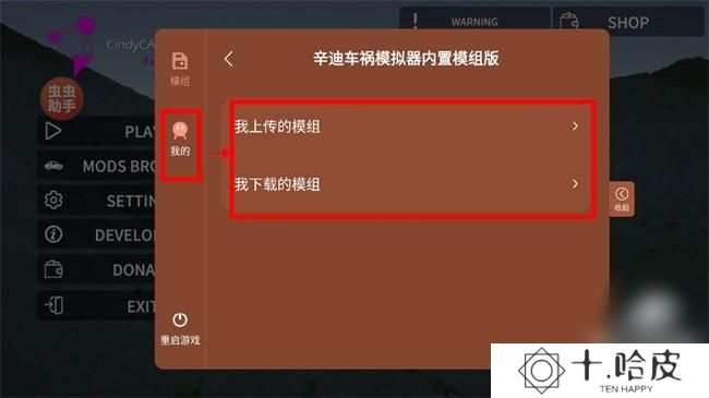 辛迪车祸模拟器0.41