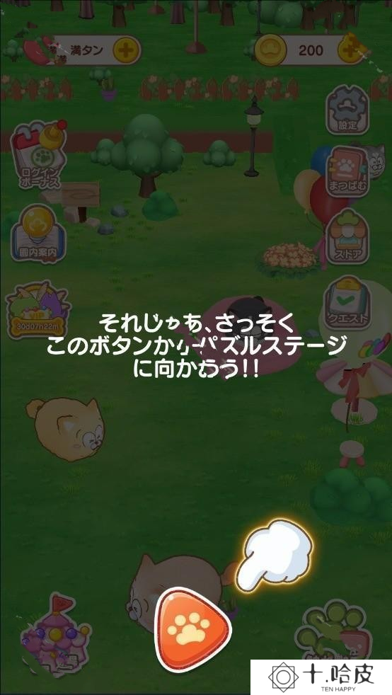 松犬乐园