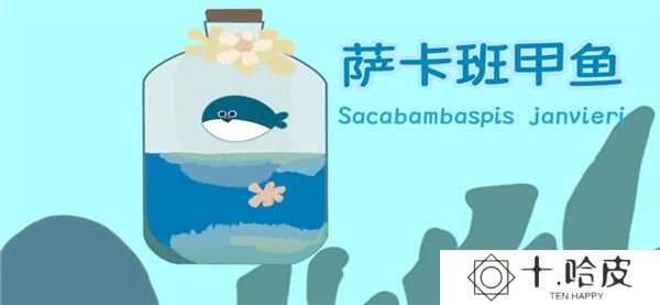 萨卡班甲鱼2025