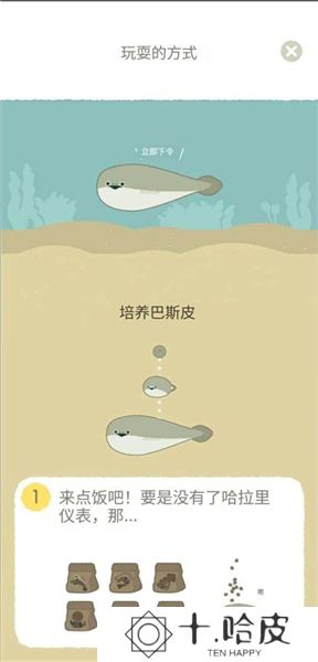 萨卡班甲鱼2025