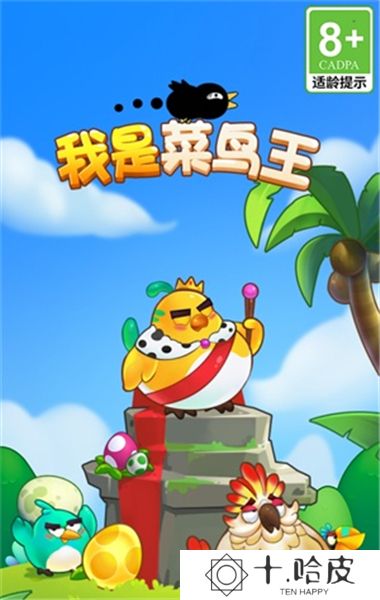 我是菜鸟王