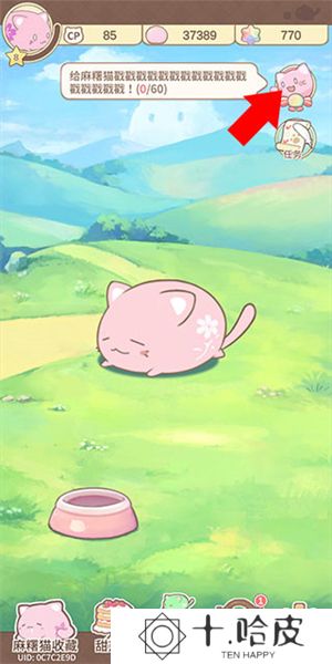 麻薯猫收藏