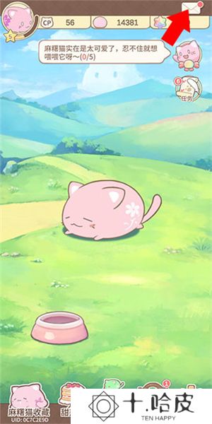 麻薯猫收藏