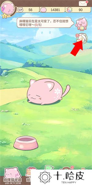麻薯猫收藏