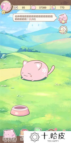 麻薯猫收藏